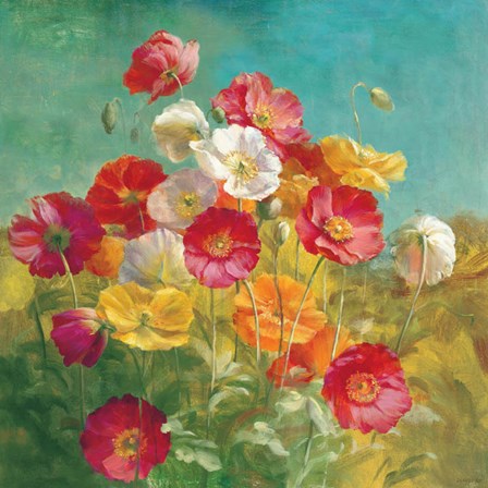 Poppies in the Field by Danhui Nai art print