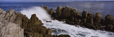 Rock formations in water, Pebble Beach, California, USA by Panoramic Images art print