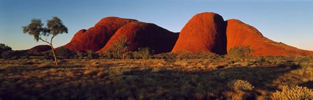 The Olgas N Territory Australia by Panoramic Images art print