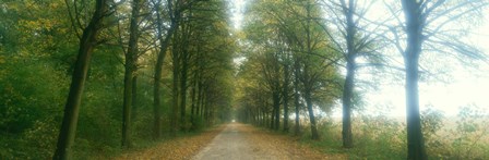 Road With Fog, France by Panoramic Images art print