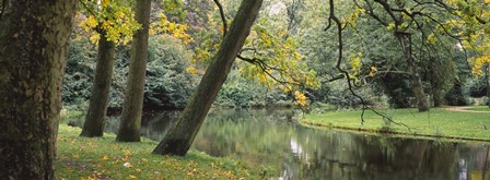 Trees near a pond in a park, Vondelpark, Amsterdam, Netherlands by Panoramic Images art print