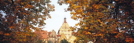 Low angle view of buildings viewed through trees, Bietigheim, Baden-Wurttemberg, Germany by Panoramic Images art print