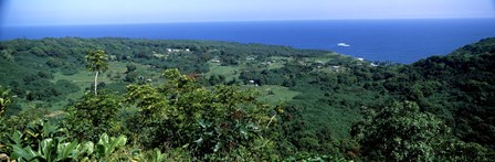 High angle view of landscape with ocean in the background, Wailua, Hana Highway, Hana, Maui, Hawaii, USA by Panoramic Images art print