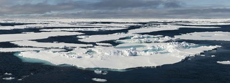 Ice floes on the Arctic Ocean, Spitsbergen, Svalbard Islands, Norway by Panoramic Images art print