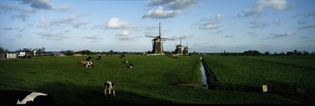 Windmills, Netherlands by Panoramic Images art print