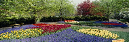 Keukenhof Gardens, Lisse, Netherlands by Panoramic Images art print