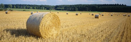 Bales of Hay Southern Germany by Panoramic Images art print