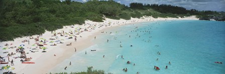 Aerial view of tourists on the beach, Horseshoe Bay, Bermuda by Panoramic Images art print