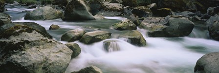 River flowing through rocks, Skokomish River, Olympic National Park, Washington State, USA by Panoramic Images art print