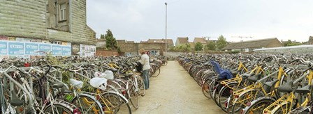 Bicycles parked in the parking lot of a railway station, Gent-Sint-Pieters, Ghent, East Flanders, Flemish Region, Belgium by Panoramic Images art print
