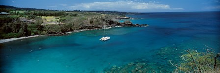 Sailboat in the bay, Honolua Bay, Maui, Hawaii, USA by Panoramic Images art print