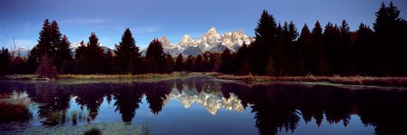 Reflection of mountains with trees in the river, Teton Range, Snake River, Grand Teton National Park, Wyoming, USA by Panoramic Images art print