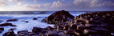 Rock formations on the coast, Giants Causeway, County Antrim, Northern Ireland by Panoramic Images art print
