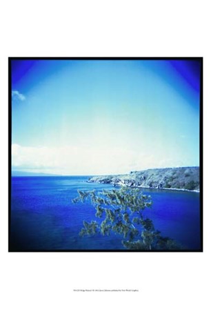 Holga Hawaii I by Jason Johnson art print