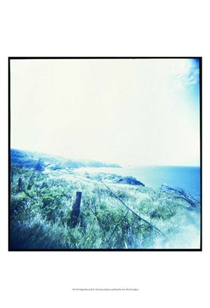 Holga Hawaii III by Jason Johnson art print