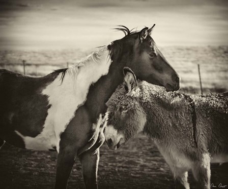 Kissing Horses II by David Drost art print