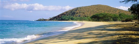 Surf on the beach, Big Beach, Makena, Maui, Hawaii, USA by Panoramic Images art print