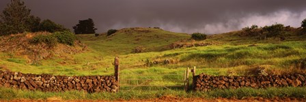 Stone wall in a field, Kula, Maui, Hawaii, USA by Panoramic Images art print