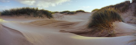 Sculpted dunes at the Sands of Forvie, Newburgh, Aberdeenshire, Scotland by Panoramic Images art print