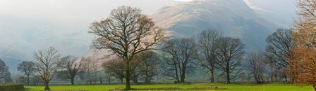 Autumn trees with mountain in the background, Langdale, Lake District National Park, Cumbria, England by Panoramic Images art print