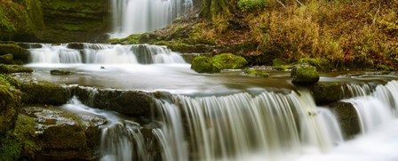 Waterfalls in a forest, Scaleber Force, Yorkshire Dales, North Yorkshire, England by Panoramic Images art print