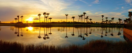 Reflection of trees in water at sunset, Lake Worth, Palm Beach County, Florida, USA by Panoramic Images art print