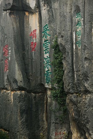 The Stone Forest, Shilin, Kunming, Yunnan Province, China by Panoramic Images art print