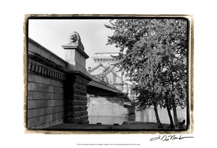 Crossing the Danube River by Laura Denardo art print