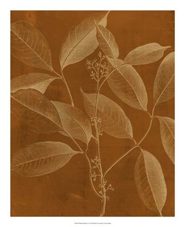 Modern Botany VI by Vision Studio art print