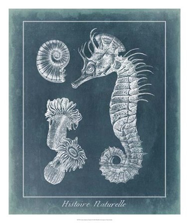 Azure Seahorse Study II by Vision Studio art print