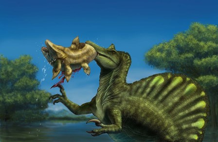 A Spinosaurus dinosaur fishing Mawsonias in a mangrove by Alvaro Rozalen/Stocktrek Images art print