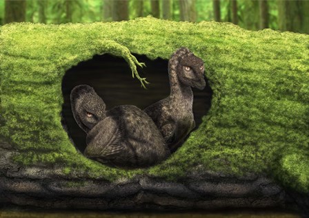 A pair of juvenile troodons in the hollow of a tree by Alvaro Rozalen/Stocktrek Images art print