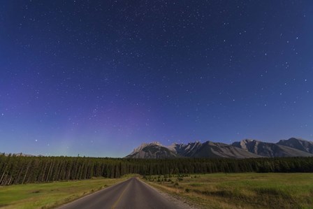 Northern autumn constellations rising over a road in Banff National Park, Canada by Alan Dyer/Stocktrek Images art print