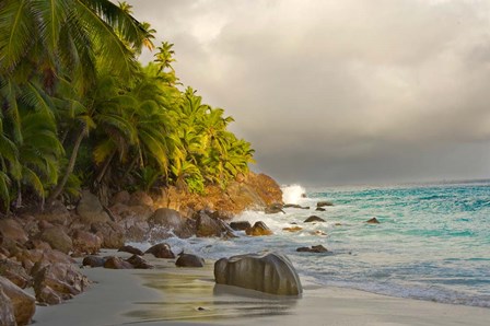 Anse Beach on Fregate Island, Seychelles by Alison Wright / Danita Delimont art print