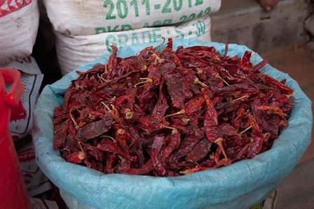 Dried chilies, Jojawar, Rajasthan, India. by Inger Hogstrom / Danita Delimont art print