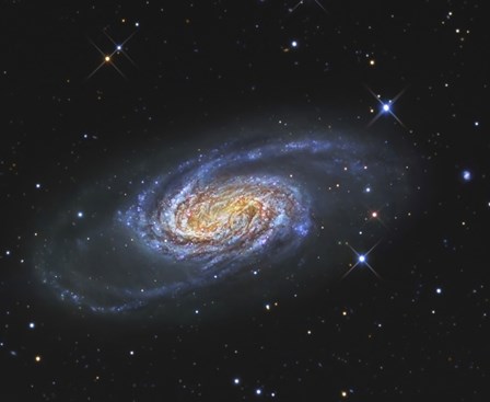 NGC 2903, A Barred Spiral Galaxy in the Constellation of Leo by R Jay GaBany/Stocktrek Images art print