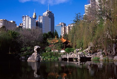 Chinese Garden, Darling Harbor, Sydney, Australia by David Wall / Danita Delimont art print