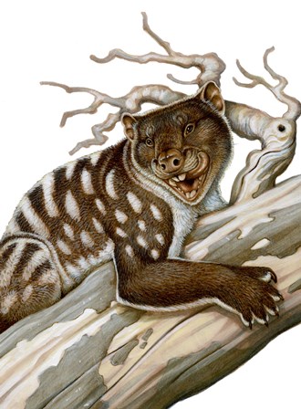 Thylacoleo, a Marsupial Lion from the Pleistocene Age by H. Kyoht Luterman/Stocktrek Images art print