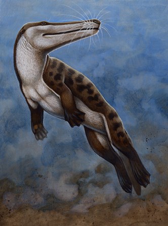 Ambulocetus Natans by H. Kyoht Luterman/Stocktrek Images art print