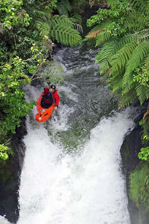 Kayak in Tutea&#39;s Falls, Okere River, New Zealand by David Wall / Danita Delimont art print