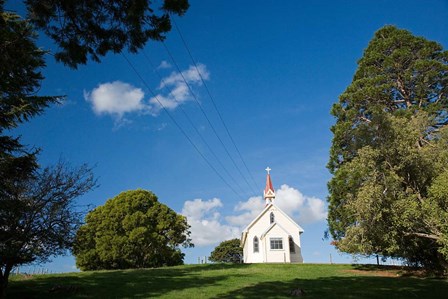 Historic Gladstone Church, Wairarapa, North Island, New Zealand by David Wall / Danita Delimont art print