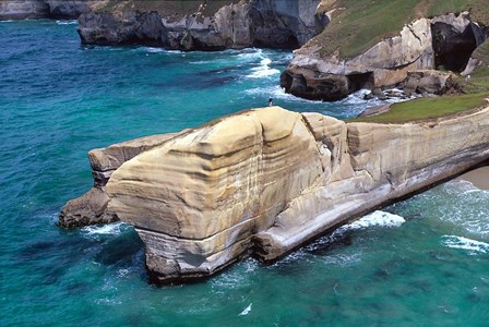 Cliffs at Tunnel Beach, Dunedin, New Zealand by David Wall / Danita Delimont art print