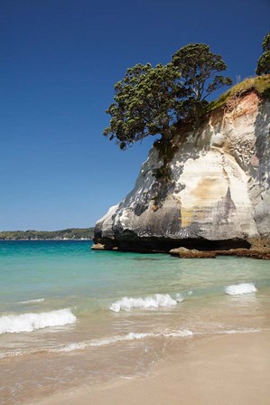 Cathedral Cove, Coromandel Peninsula, North Island, New Zealand by David Wall / Danita Delimont art print