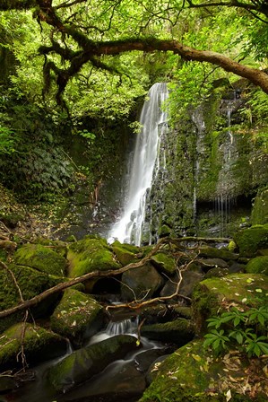 Matai Falls, Catlins, South Otago, South Island, New Zealand by David Wall / Danita Delimont art print