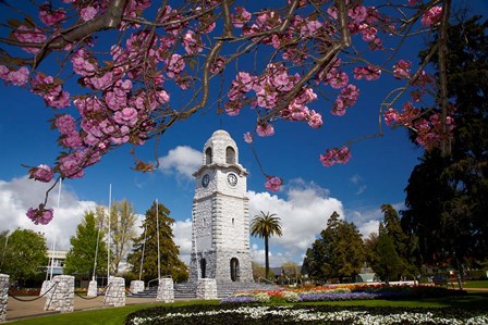 Memorial Clock Tower, Seymour Square, Marlborough, South Island, New Zealand (horizontal) by David Wall / Danita Delimont art print