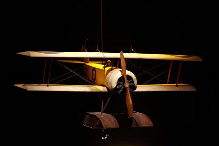 Sopwith Baby seaplane, War plane, New Zealand by David Wall / Danita Delimont art print
