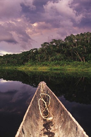 Paddling a dugout canoe on Lake Anangucocha, Yasuni National Park, Amazon basin, Ecuador by Christopher Bettencourt / Danita Delimont art print