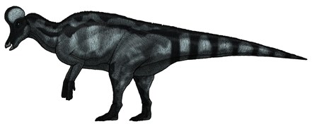 Corythosaurus, a Large Hadrosaurid Dinosaur by Vitor Silva/Stocktrek images art print