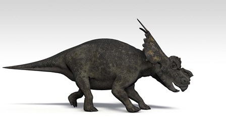 Achelousaurus dinosaur by Kostyantyn Ivanyshen/Stocktrek Images art print