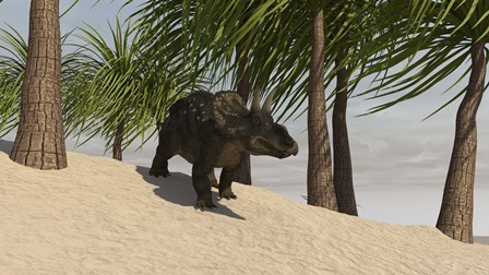 Triceratops Walking in a Tropical Environment by Kostyantyn Ivanyshen/Stocktrek Images art print